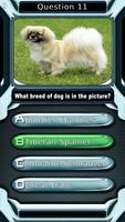 Dog Breed Animal Quiz Game imagem de tela 2