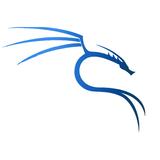 Guide de Kali Linux icône