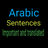 Important Arabic Sentences APK
