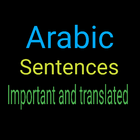 Important Arabic Sentences icon