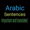 Important Arabic Sentences APK