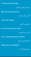 Important Arabic Sentences screenshot 3