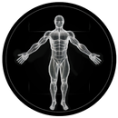 BodBot AI Personal Trainer aplikacja