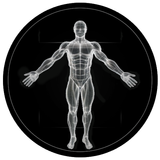 BodBot icono