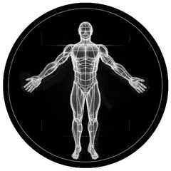 BodBot AI Personal Trainer XAPK download