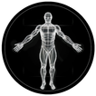 BodBot IA Entrenador Personal