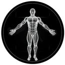 مدرب شخصي بودبوت AI APK