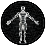 BodBot AI Workout Planner