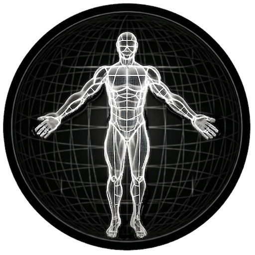 BodBot KI-Personal-Trainer