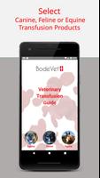 Veterinary Transfusion Guide Poster