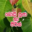 Bodhi puja ha pirith APK