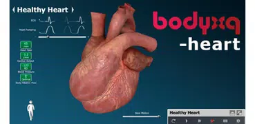 bodyxq heart