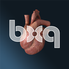 bodyxq heart biểu tượng