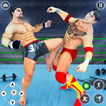 Kung Fu Karate Ring Fighting
