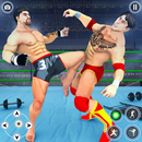 Kung Fu Karate Ring Fighting APK