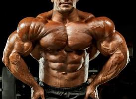 Body Builder Body Muscles Poster