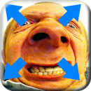 Stretch Face Fotomontage - Bulge Face APK