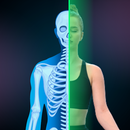 Camera Scanner -Body Simulator APK