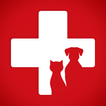 First Aid For Pets