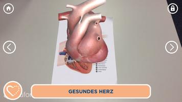 Vetmedin 3D Cardio AT Cartaz