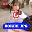 Bokeh Japanese translation Tip