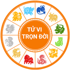 Tử Vi Trọn Đời icono