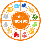 Tử Vi Trọn Đời icono