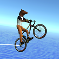 Epic Bike Run