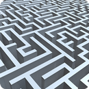Labyrinth Brain Challenge APK