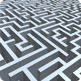 Labyrinth Brain Challenge 아이콘