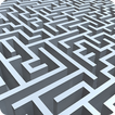 ”Labyrinth Brain Challenge