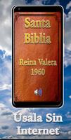 Biblia Reina Valera 1960 海报
