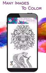 MY Coloring Book XAPK 下載