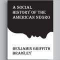 A Social History Of American