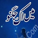 Main Ik Jugnoo - Urdu Novel - BB APK