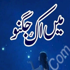 Main Ik Jugnoo - Urdu Novel - BB icône
