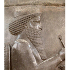 Darius the Great Zeichen