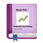 Corporate Accounting icon