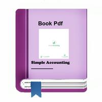 Simple Accounting Pro Affiche