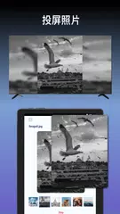 智慧螢幕鏡像：手機螢幕鏡像到電視 XAPK 下載