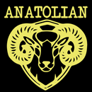 Anatolian Restaurant Abergavenny APK