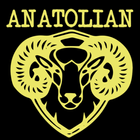 Anatolian Restaurant Abergavenny biểu tượng