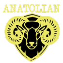 Anatolian Grill House Cardiff APK