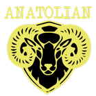 Anatolian Grill House Cardiff biểu tượng