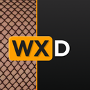 WXD Downloader & Player APK