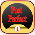 past perfect