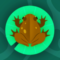 Twirly Toad