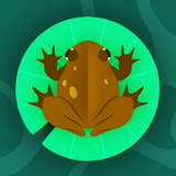 Twirly Toad icône