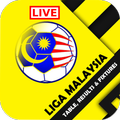 Bola Sepak Malaysia