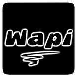 WAPI
